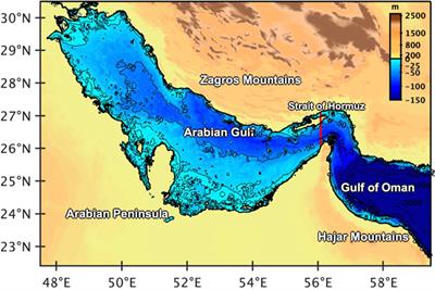 Contribution of surface and lateral forcing to the Arabian Gulf warming trend